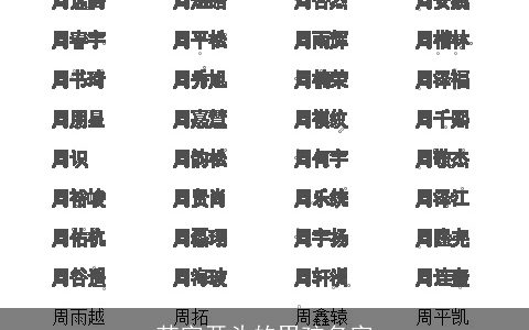 芯字开头的男孩名字