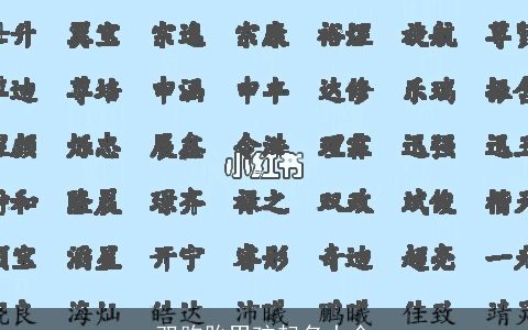 双胞胎男孩起名大全