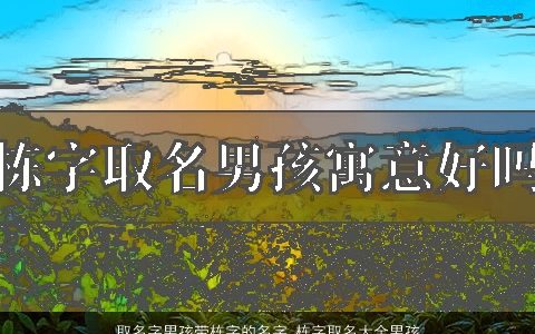 取名字男孩带栋字的名字 栋字取名大全男孩寓意好吗 2023有涵养寓意的带栋字男孩名