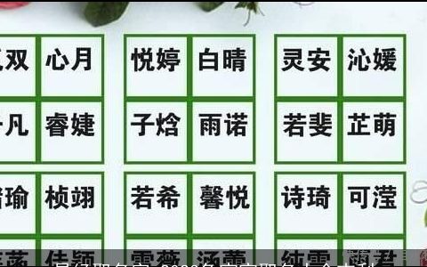 易经取名字 2023兔宝宝取名大全吉利