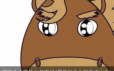 属马金命取什么名字好(属马缺金女孩名字大全)