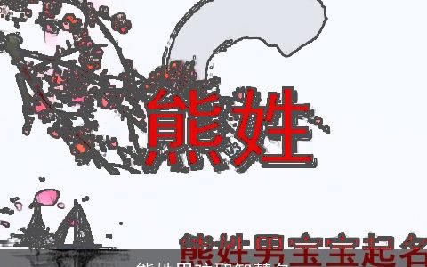 熊姓男孩取智慧名