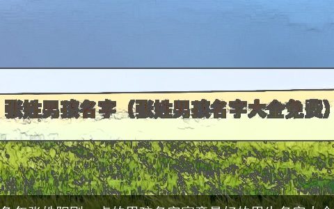 兔年张姓阳刚一点的男孩名字寓意最好的男生名字大全