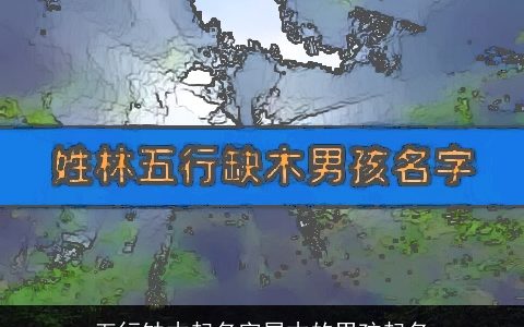 五行缺木起名字属木的男孩起名