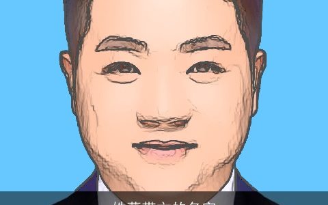 姓葛带文的名字