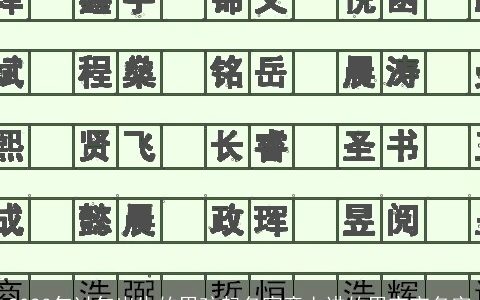2023年过年出生的男孩起名寓意上进的男宝宝名字