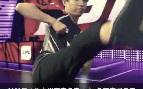 2024年杜氏虎男宝宝名字大全 龙宝宝取名字