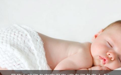 属狗女孩取名字宜用字(狗年取名字大全)