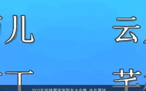 2023年何姓男宝宝取名大全集 牛年男孩起名 洋气好听的何姓男宝宝牛男孩名字推荐