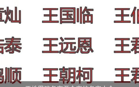 王姓男孩名字两个字的名字大全