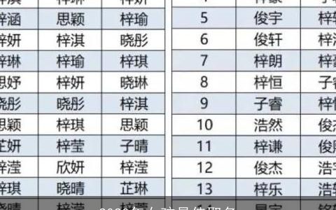 2020年女孩最佳取名