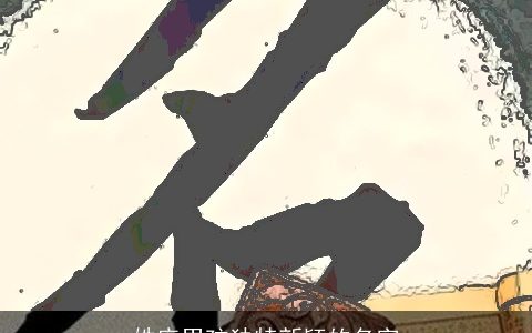 姓庞男孩独特新颖的名字