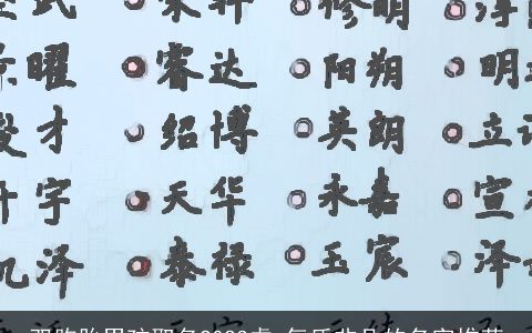 双胞胎男孩取名2023虎 气质非凡的名字推荐