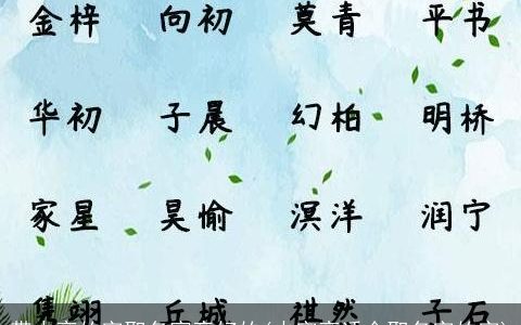 带火旁的字取名寓意好的(火字旁适合取名字的字)