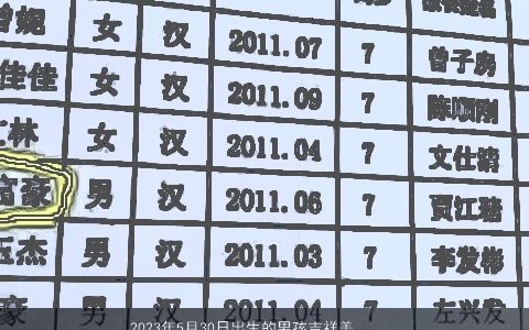 2024年5月30日出生的男孩吉祥美好的名字 姓杨男孩好寓意又好听的名字