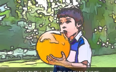 2024年最火小名 男生版附起名技巧