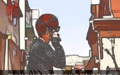 阳光帅气的网名有哪些说放弃没创意是放屁