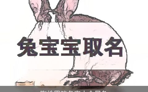 陶姓男孩名字大全属兔