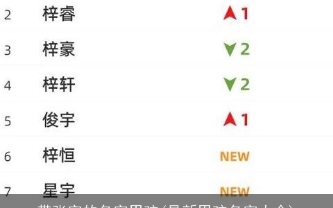 带张字的名字男孩(最新男孩名字大全)