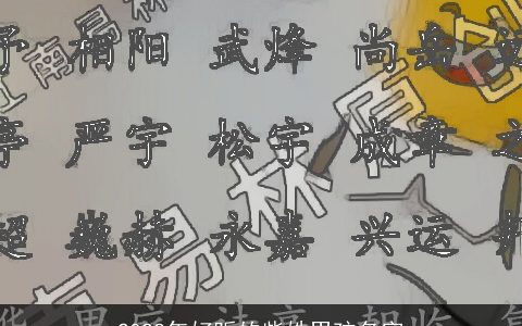 2023年好听的柴姓男孩名字