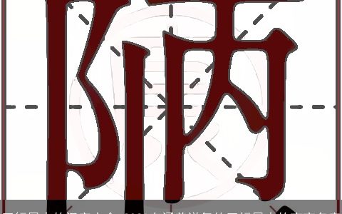 五行属火的汉字大全 2024有涵养洋气的五行属火的宝宝名字