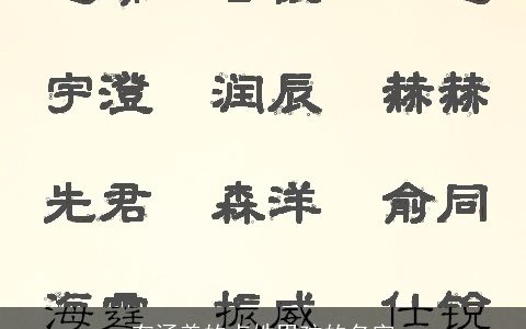 有涵养的卢姓男孩的名字