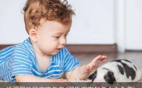 姓邓男孩鼠宝宝名字(邓氏宝宝起名大全免费)