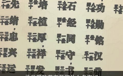姓吴男孩茂字辈取什么名字好