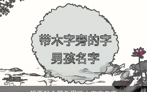 想要起个属兔男孩木字旁名字