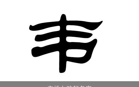 韦姓女孩起名字