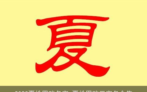 2023夏姓男孩名字 夏姓男孩三字名合集