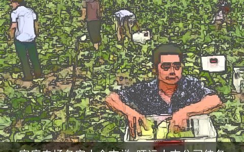 家庭农场名字大全吉祥 旺运大吉公司佳名