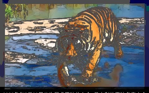 2023兔年7月28日出生属虎男孩什么命 最吉利的男孩名字大全