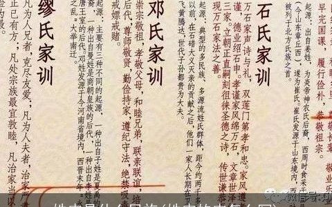 姓皮是什么民族(姓皮的皮怎么写)