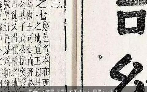 思是什么意思 带思字的男孩名字 用思字起名大全的寓意 2024洋气寓意的带思字男孩名字挑选