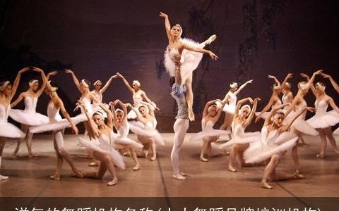 洋气的舞蹈机构名称(十大舞蹈品牌培训机构)