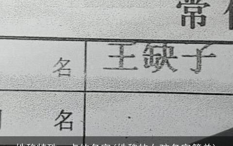 姓魏特殊一点的名字(姓魏的女孩名字简单)