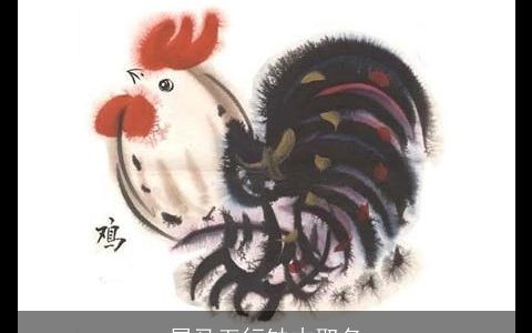 属马五行缺木取名