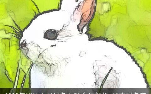 2023年阴历六月属兔女孩命运解析 取吉利名字