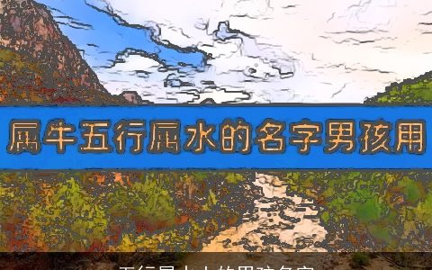 五行属水土的男孩名字