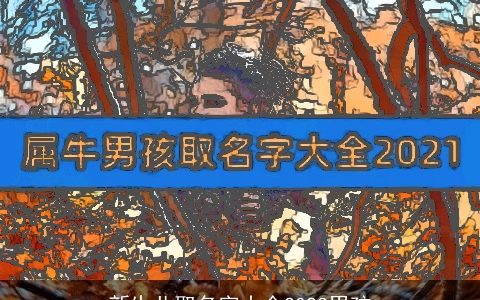 新生儿取名字大全2024男孩