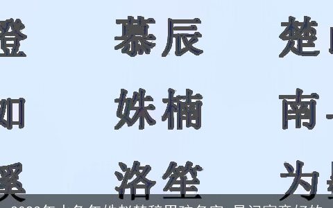 2023年水兔年姓赵楚辞男孩名字 易记寓意好的
