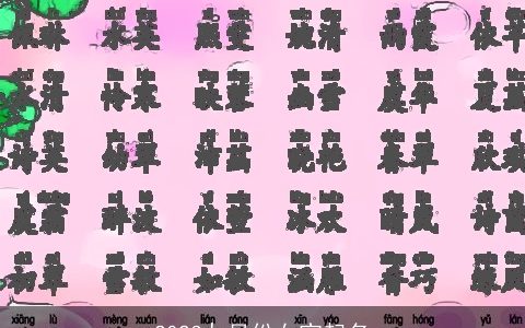 2024九月份女宝起名