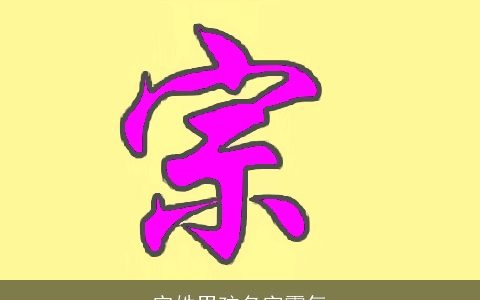 宗姓男孩名字霸气