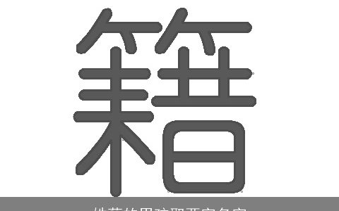 姓蔡的男孩取两字名字