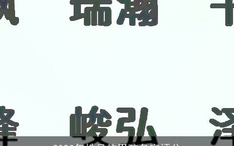 2023年姓吴的男孩名字评分
