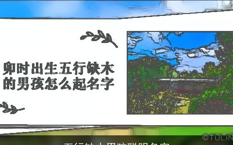 五行缺木男孩聪明名字