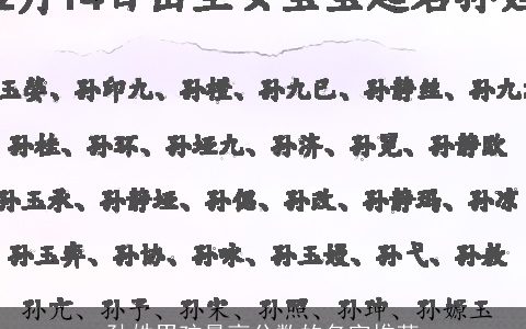 孙姓男孩最高分数的名字推荐