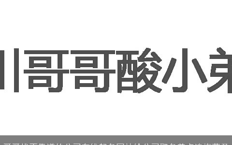 哥哥找不靠谱的公司在线起名网站给公司取名差点追悔莫及