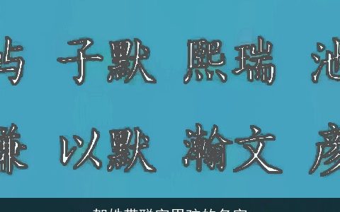 贺姓带聪字男孩的名字